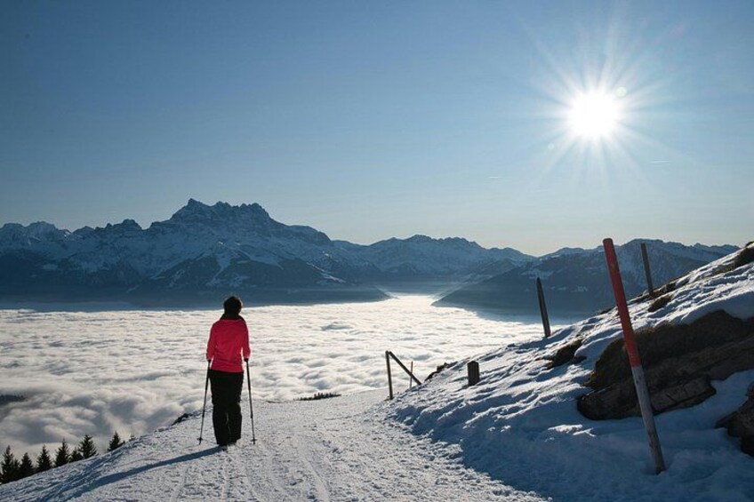 Snowshoeing winter 5