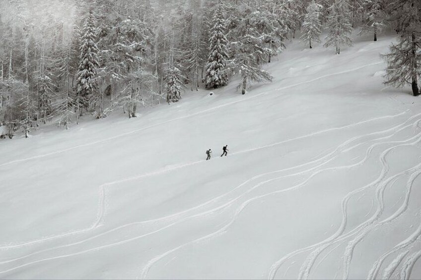 Snowshoeing winter 2