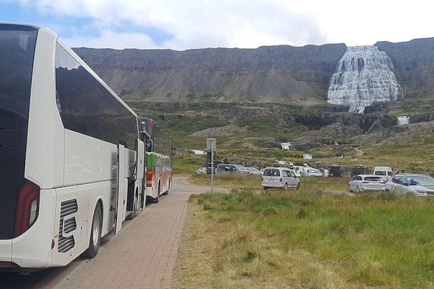3,5-Hour Sightseeing Tour To Dynjandi Waterfall 2