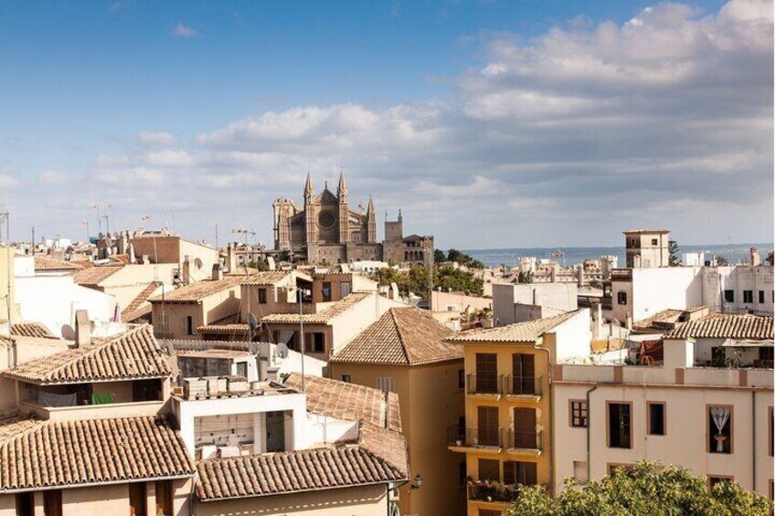 Private custom tour with a local guide Palma de Mallorca