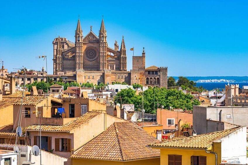 Palma de Mallorca : Private Custom Walking Tour with A Guide 4