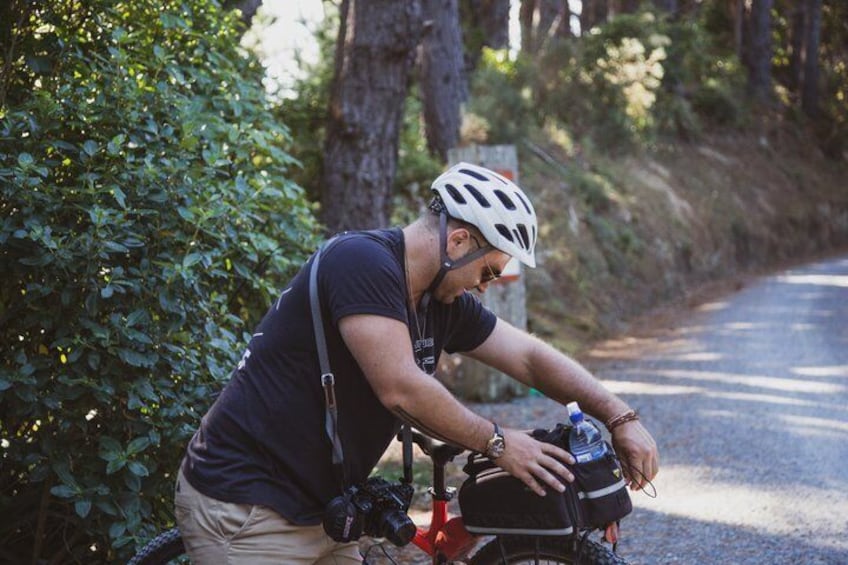 Wellington Remutaka Rail Trail eBike Cycle Tour 3