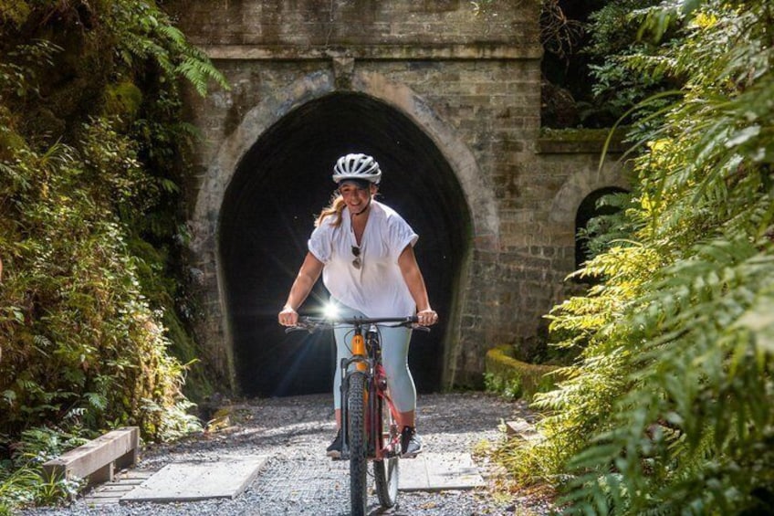 Wellington Remutaka Rail Trail eBike Cycle Tour 4