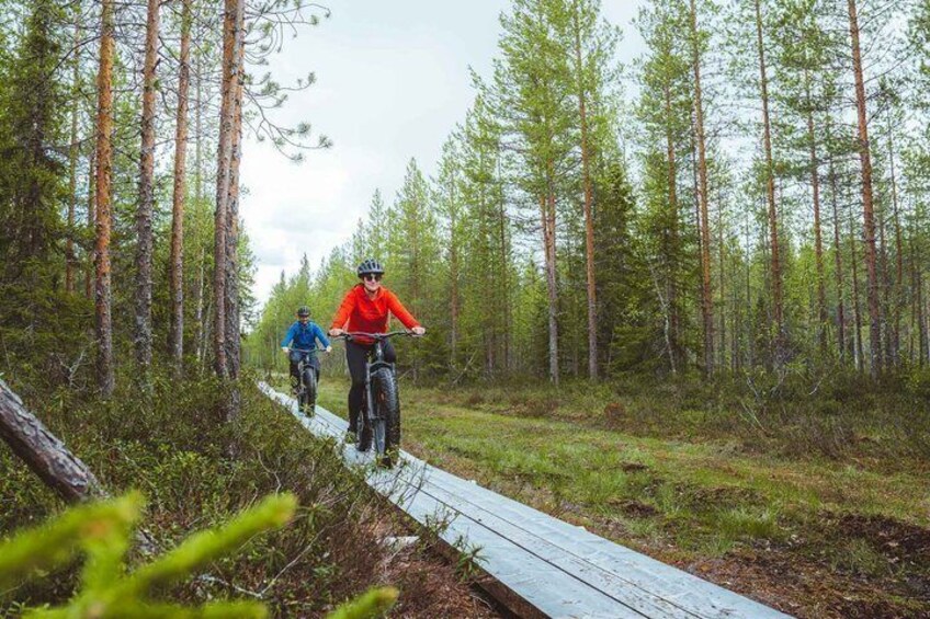 Zwei Personen fahren Mountainbikes auf einem schmalen Holzweg durch einen Wald. 2