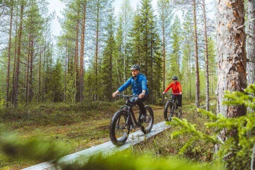 Zwei Personen fahren auf Mountainbikes auf einem schmalen Pfad, umgeben von dichtem Wald. 1
