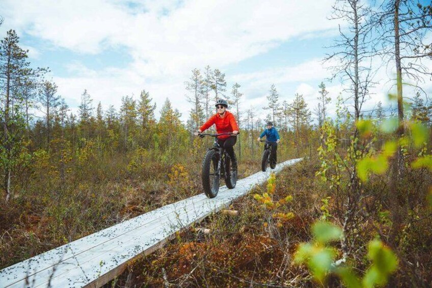 Zwei Radfahrer auf einem hölzernen Steg durch einen Wald. 3