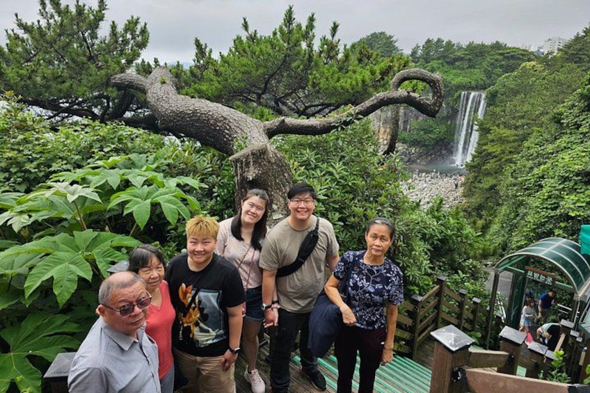 A group of people standing on a wooden platform with a large tree branch overhead and a waterfall in the background. 1