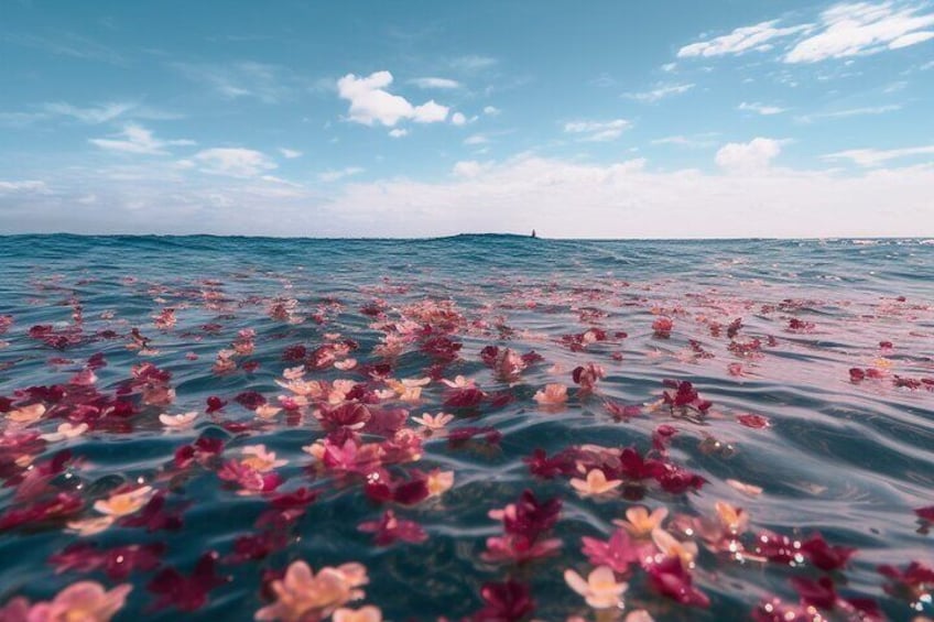 Galveston Burial at Sea Celebration of Life Charter