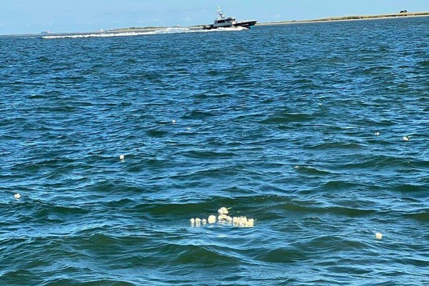 Galveston Burial at Sea: Celebration of Life Charter 5