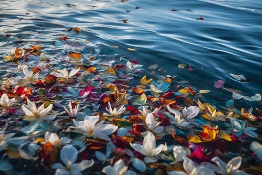 Galveston Burial at Sea: Celebration of Life Charter 1