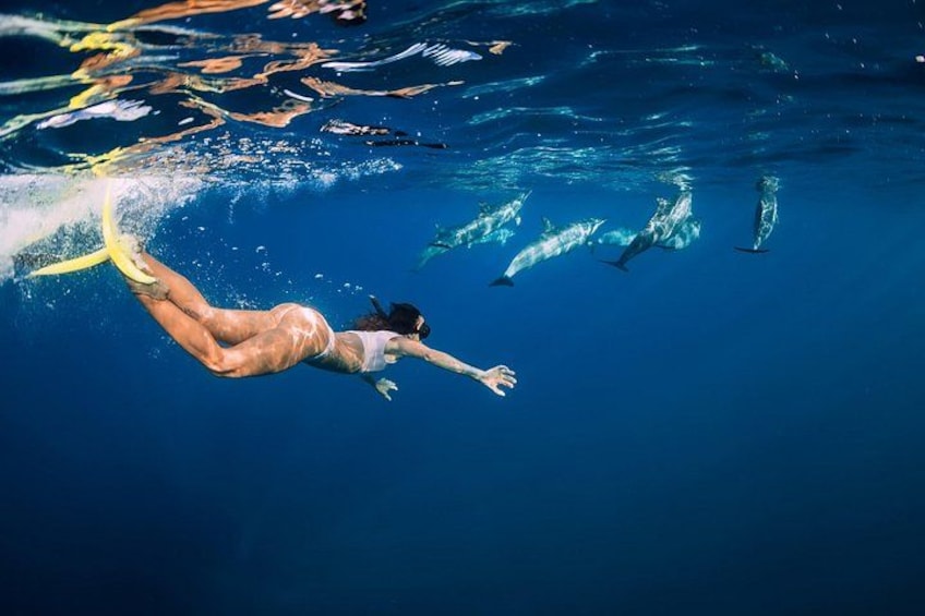 A person swimming underwater with dolphins. 2