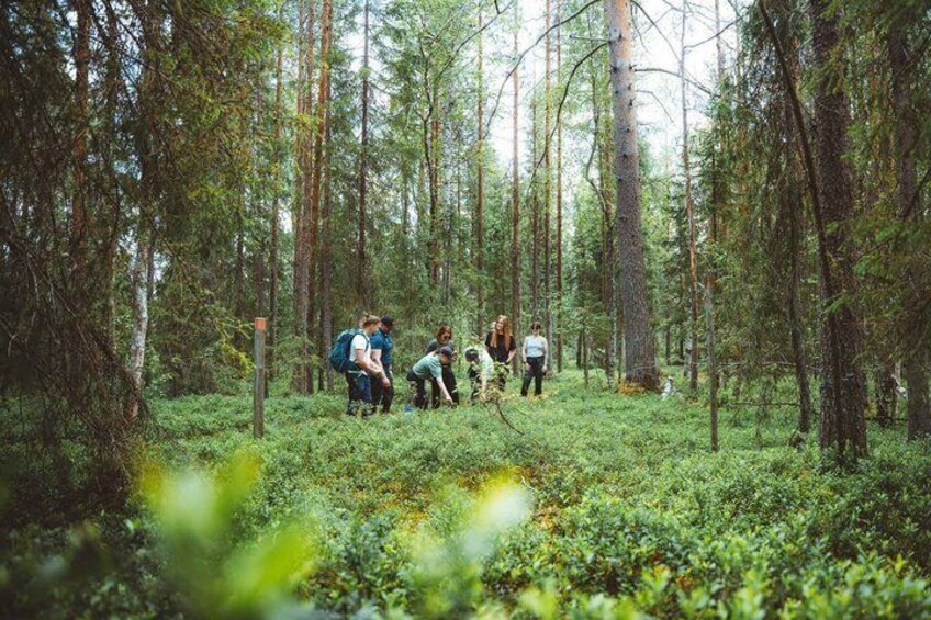 A group of people hiking in a dense forest. 4