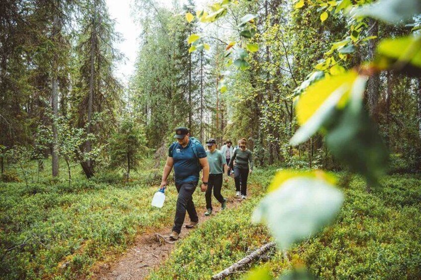 A group of people hiking through a forested area with a trail. 1