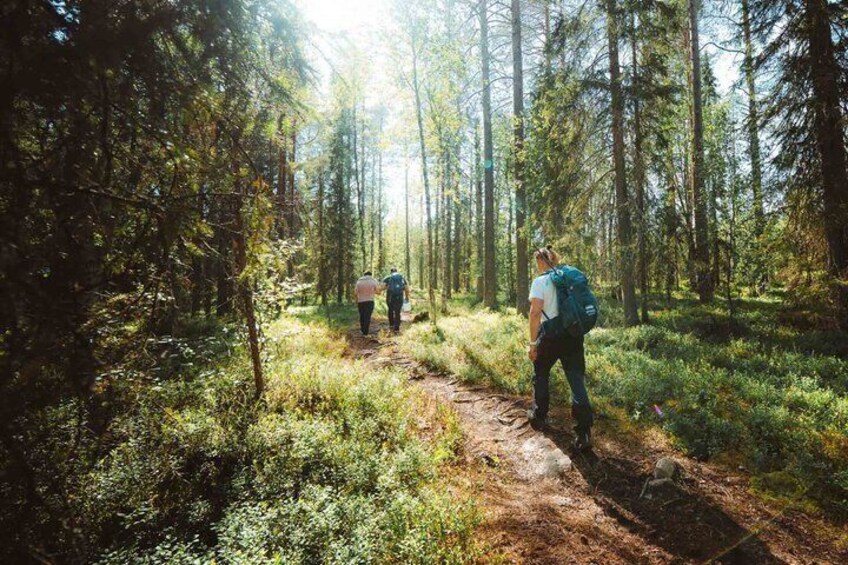 A forest trail with hikers. 3