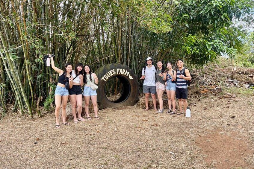 Oahu: Roundtrip Shuttle From Waikiki to Dole Plantation & Haleiwa 2