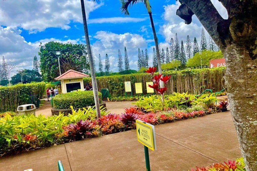 Oahu: Roundtrip Shuttle From Waikiki to Dole Plantation & Haleiwa 5
