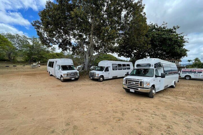 Roundtrip Shuttle From Waikiki to Dole Plantation & Haleiwa Town 