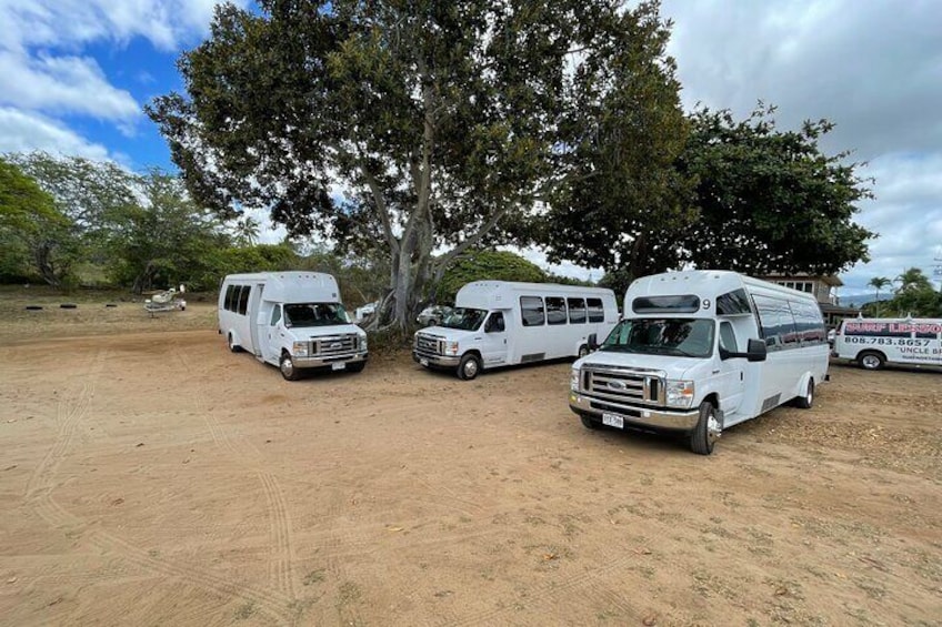 Roundtrip Shuttle From Waikiki to Dole Plantation & Haleiwa Town 