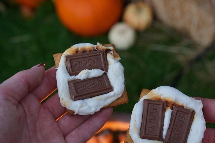 A hand holding a s'more with two Hershey's chocolate bars and marshmallow. 1
