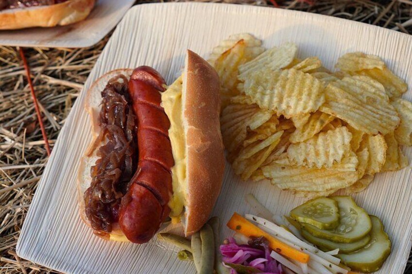 A hot dog with sauerkraut, chips, pickles, and coleslaw on a paper plate. 5