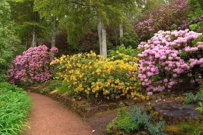 A garden with a gravel path, pink and yellow flowering bushes, and green trees. 2