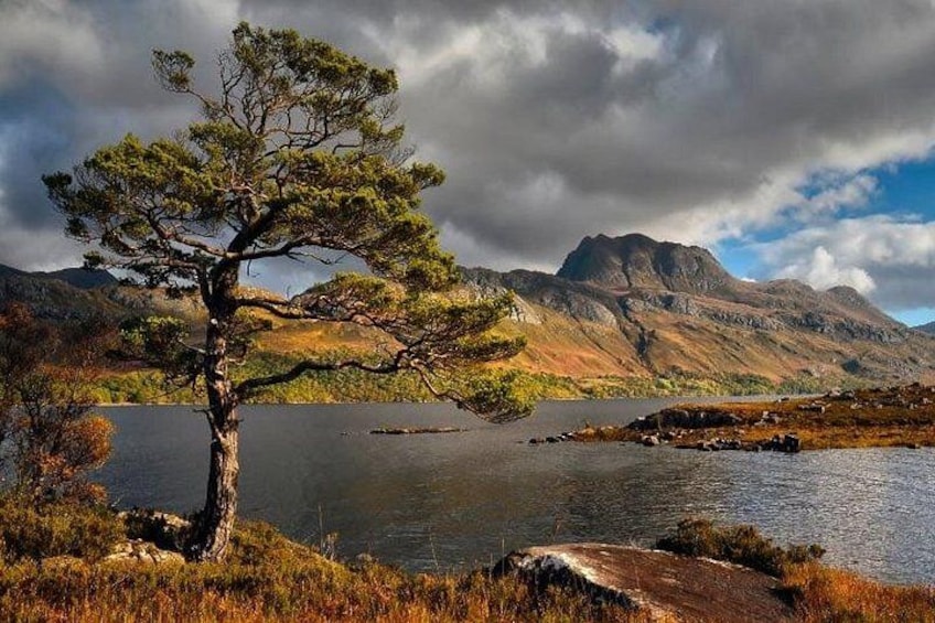A solitary tree by a lake with mountains in the background. 3