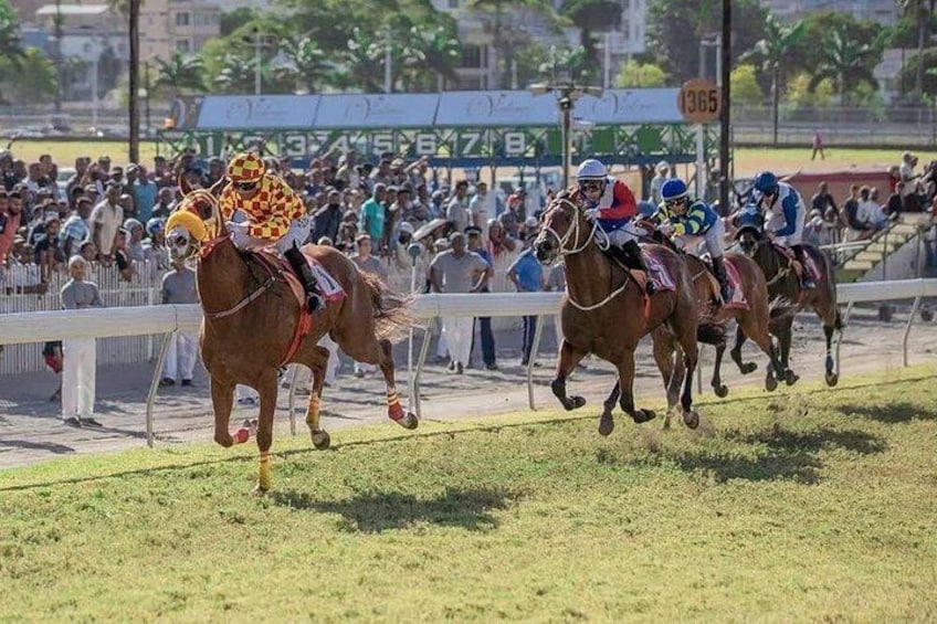 Une course de chevaux avec des jockeys à cheval, une foule de spectateurs et une piste. 4