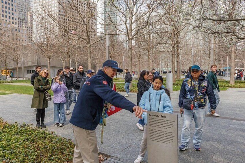 A person planting a tree in a public park with a sign that reads 'Survivor Tree.' 2