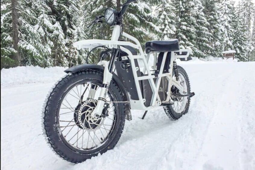 Electric Snow biking with Tahoe Outdoor Adventures! 1