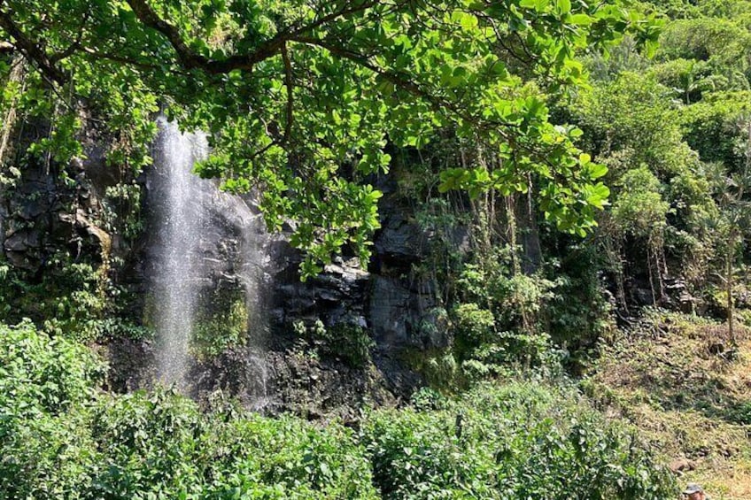 A waterfall cascading down a rocky cliff surrounded by dense green foliage. 5