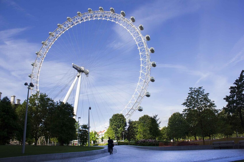 A large Ferris wheel in a park with trees and a clear sky. 3