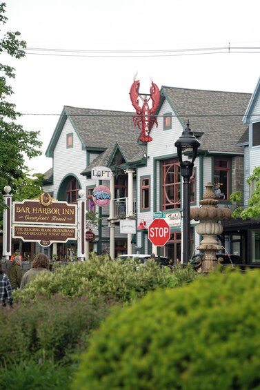 Bar Harbor Exclusive Food Tour With Lobster 5