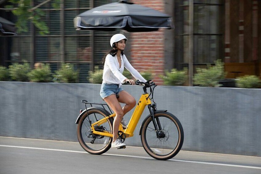 Vienna City E-Bike Tour 4