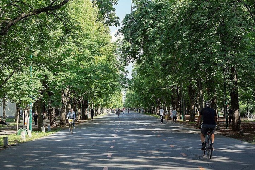 A tree-lined street with cyclists and pedestrians. 4