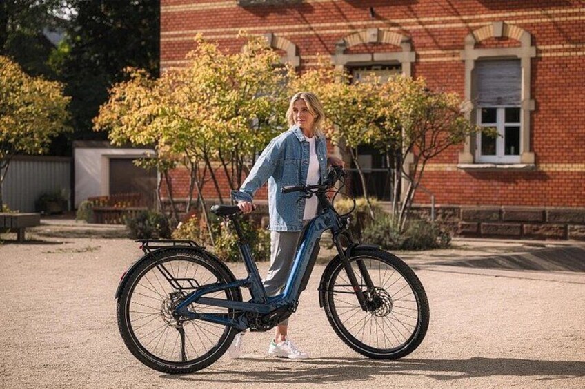 Vienna City E-Bike Tour 2