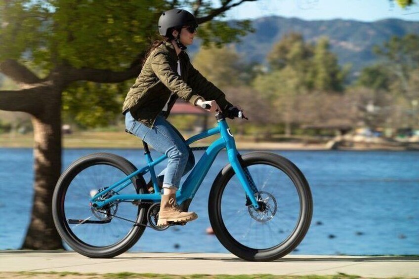 Vienna City E-Bike Tour 5