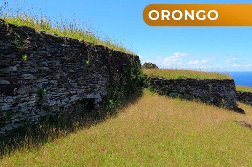 A stone wall with grass growing on top, a grassy field, and the ocean in the background. 4