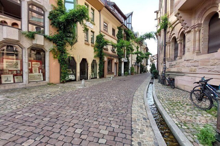 A cobblestone street lined with historic buildings, some with ivy, and a bicycle parked on the right. 3