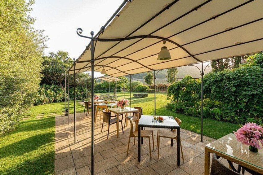 En overdækket udendørs terrasse med borde og stole, omgivet af frodigt grønt og en velplejet græsplæne. 1