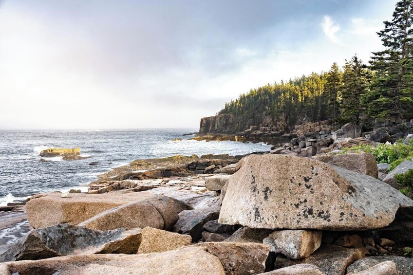 Bar Harbor Premium Driving Tour With Acadia National Park & Lobster Roll 4