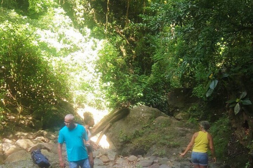 Tour Through The Embera Region