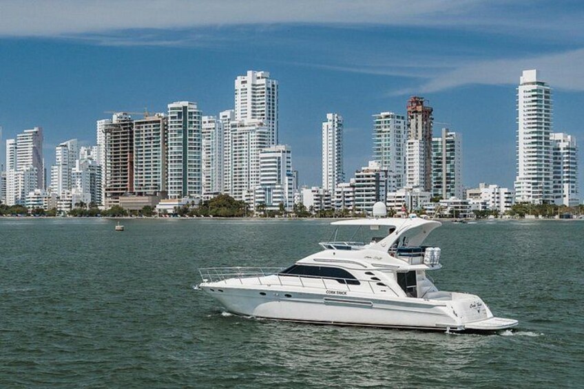 A white yacht on calm water with a city skyline in the background. 1