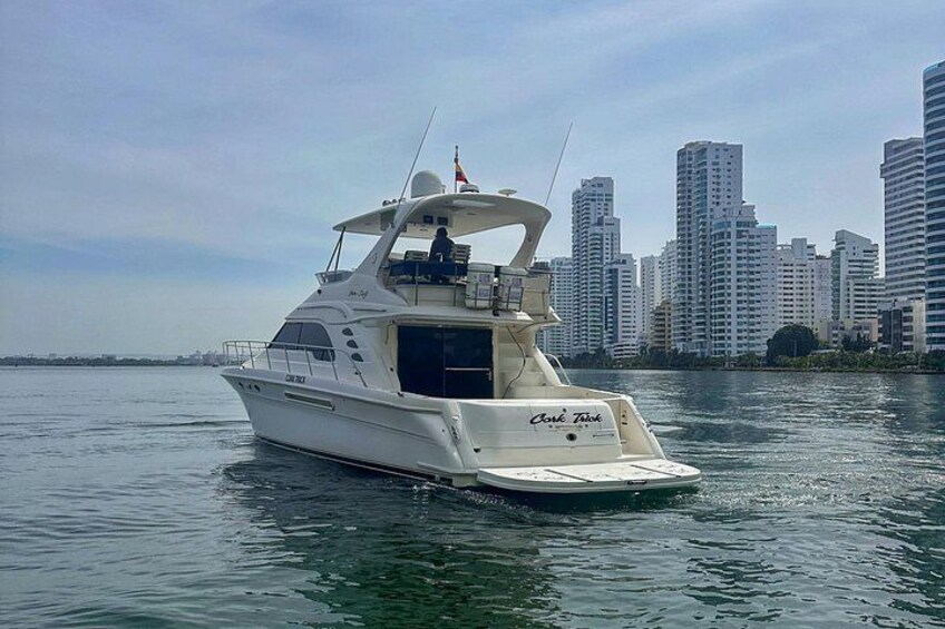 A white yacht named 'Cove Tank' on calm water with a city skyline in the background. 3