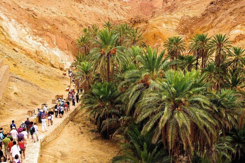 Southern Tunisia Tour with Star Wars Cave Village and Lunch 2