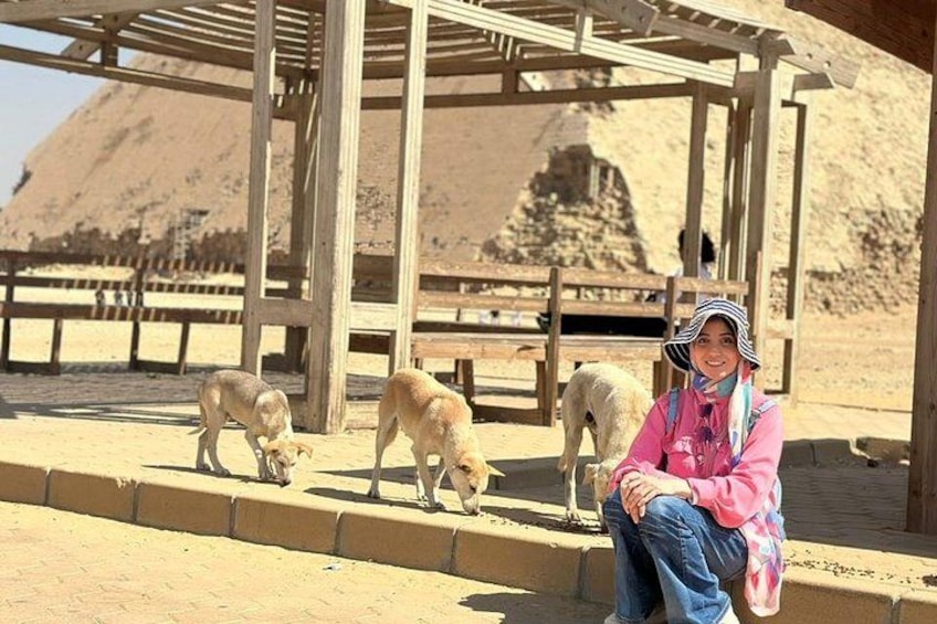 A person sitting on a bench with three dogs in a desert-like environment with wooden structures. 4