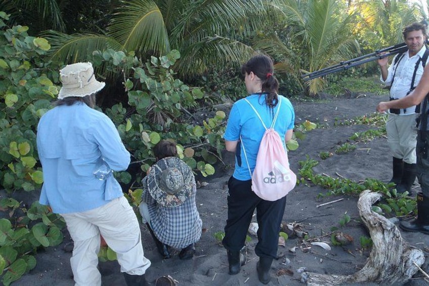 Un gruppo di persone cammina lungo un sentiero sterrato, circondato dal verde. 2