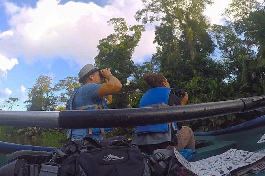 Due persone scattano fotografie, una con una fotocamera e l'altra con uno smartphone, in un ambiente naturale con alberi e cielo sereno. 1