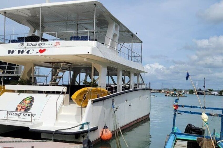 Whale Watching Mirissa with ( WWC ) 3