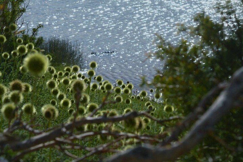 Tour Laguna Blanca & Arroyo Turquoise Barreal San Juan Arg. 4