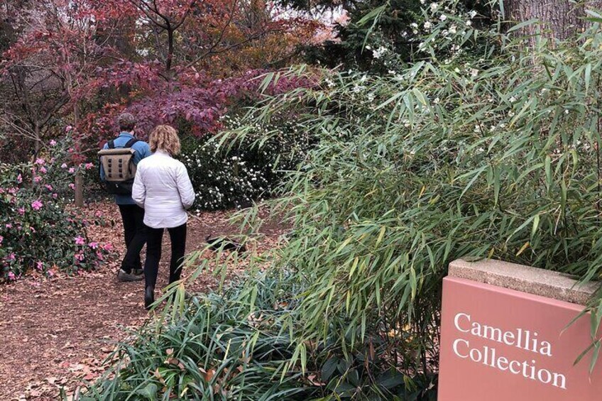 Off-the beaten path spots like the National Arboretum can make your DC tour unique and really focused on your interests.